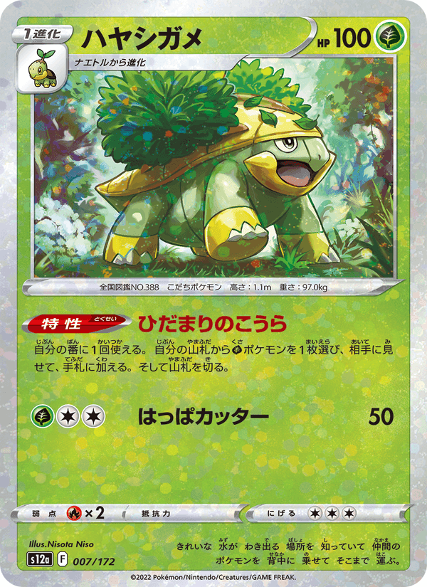 Carta Pokémon ハヤシガメ 007