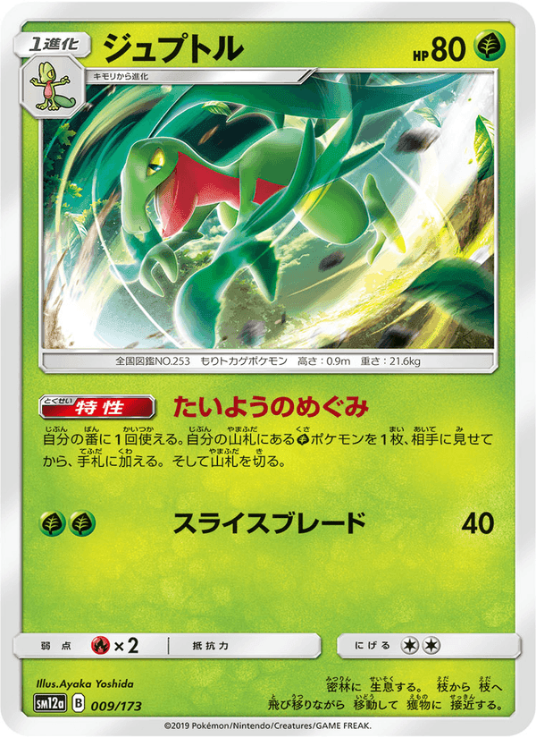 Carta Pokémon ジュプトル 009