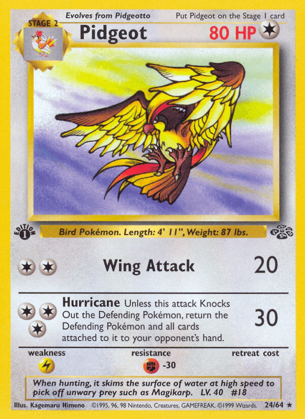 Carta Pokémon Pidgeot 24
