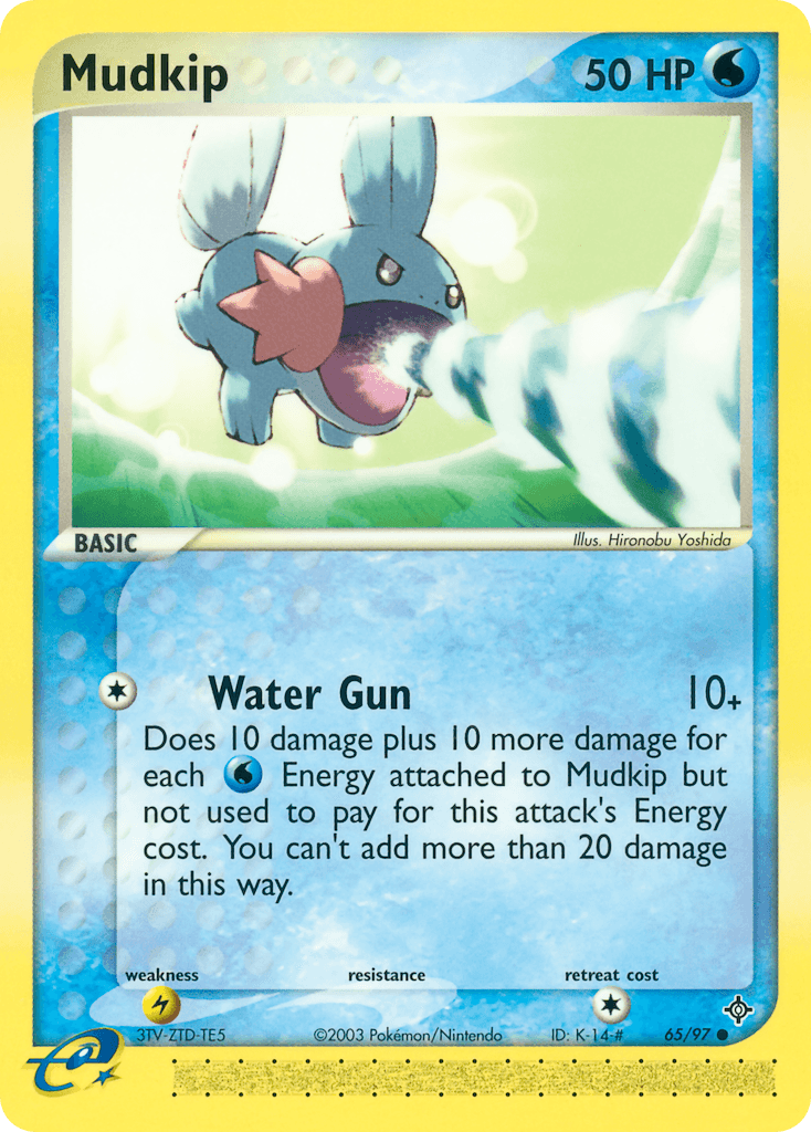 Carta Pokémon Mudkip 65