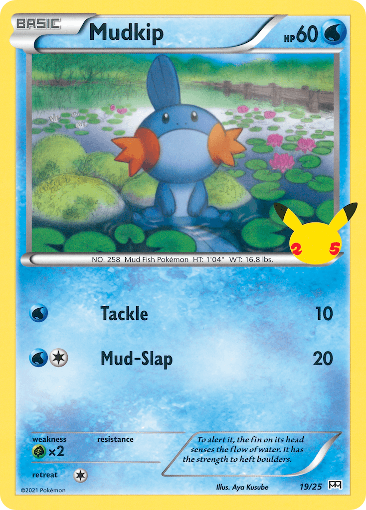 Carta Pokémon Mudkip 19