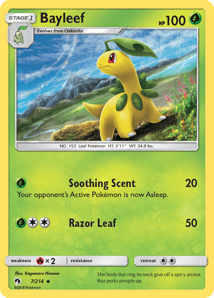 Carta Pokémon Bayleef 7