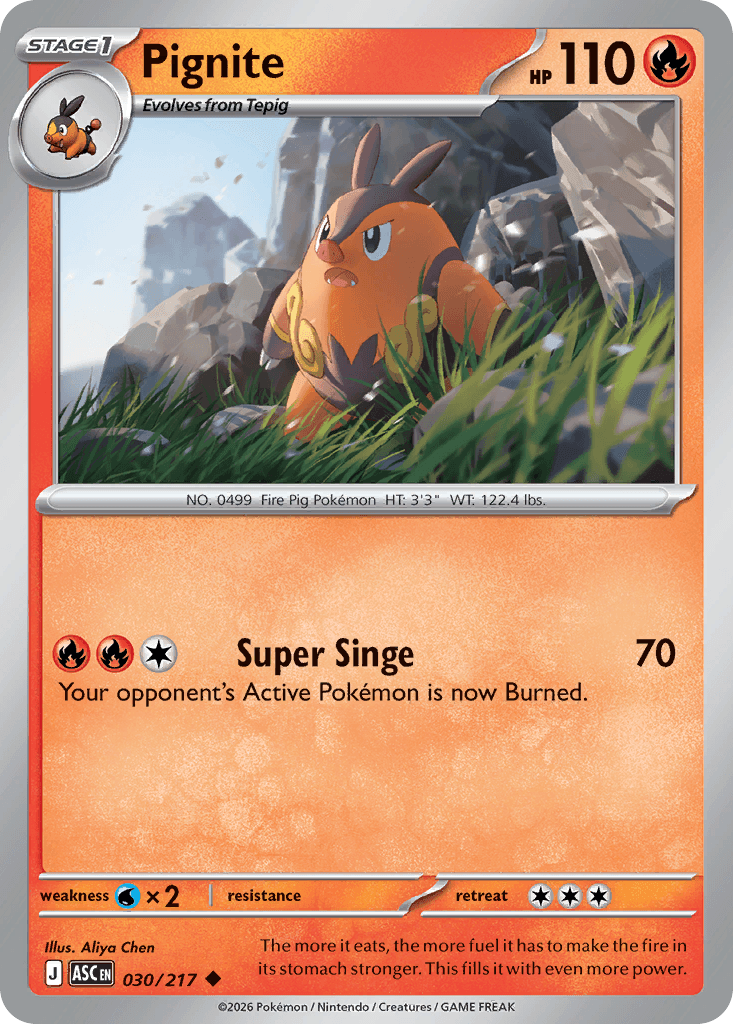 Carta Pokémon Pignite