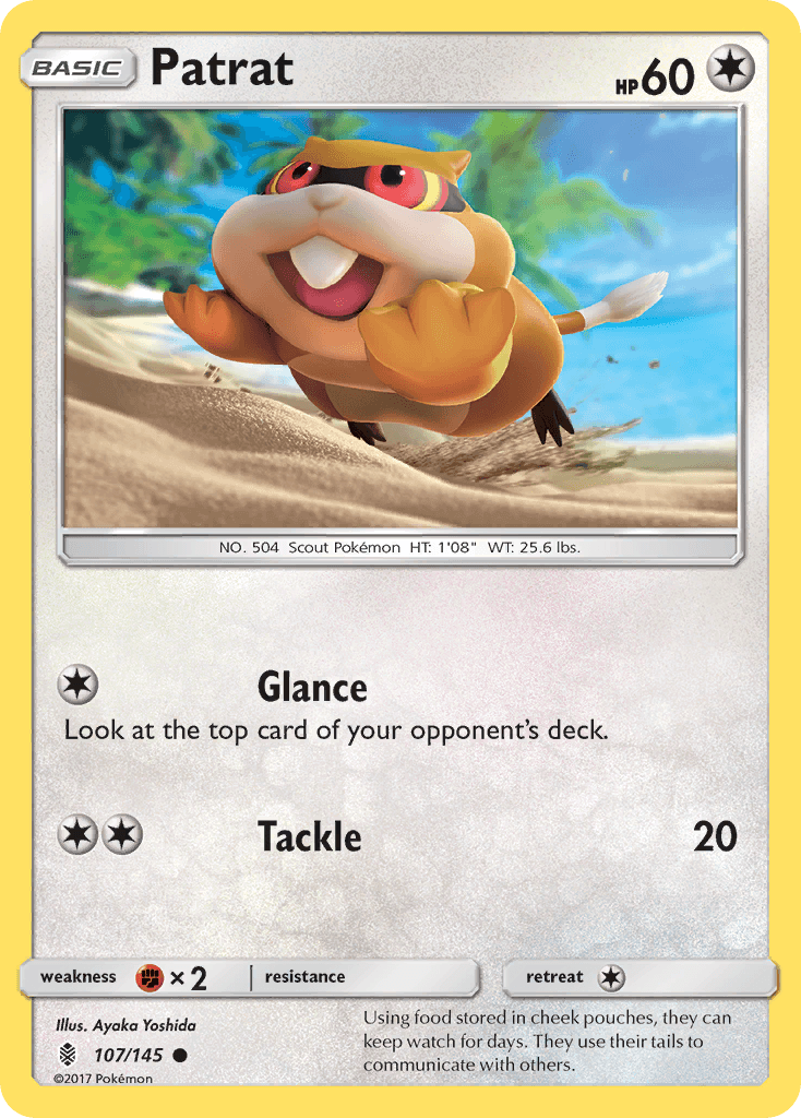 Carta Pokémon Patrat 107