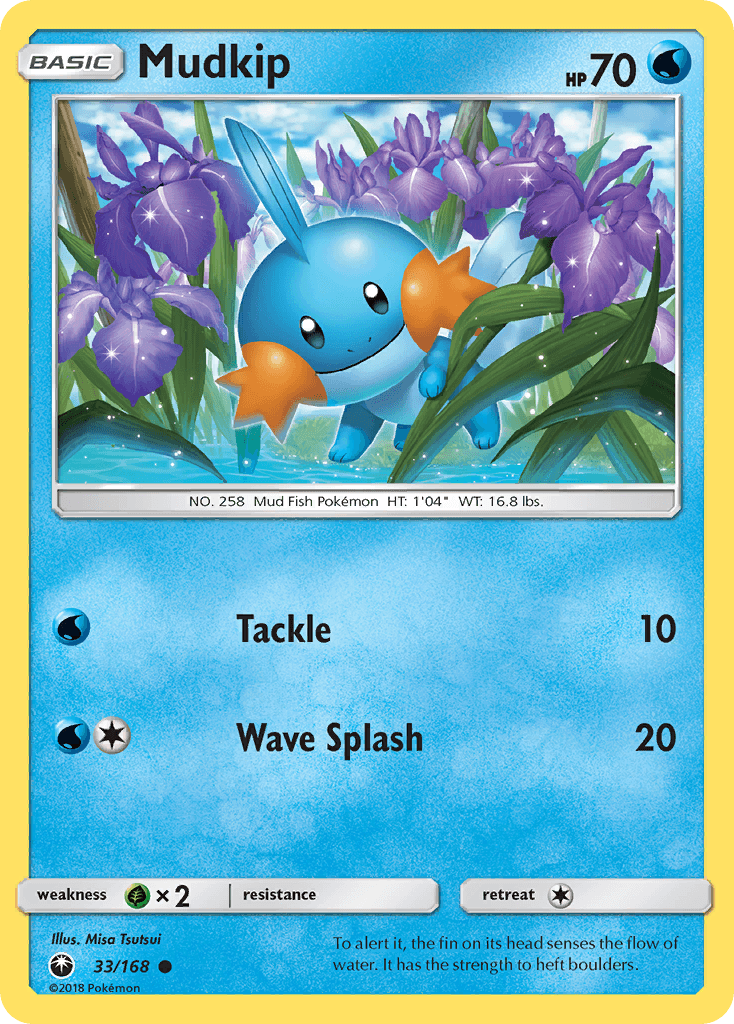 Carta Pokémon Mudkip