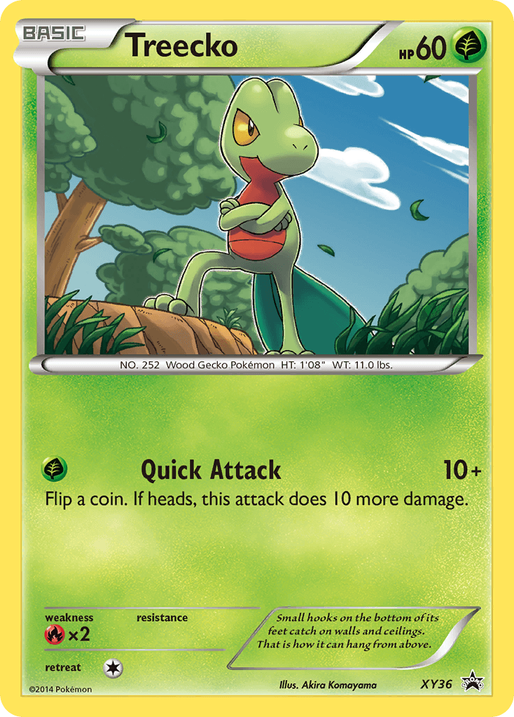 Carta Pokémon Treecko XY36