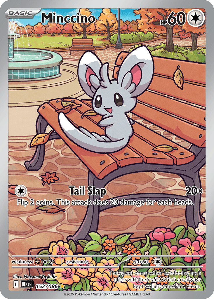 Carta Pokémon Minccino 152