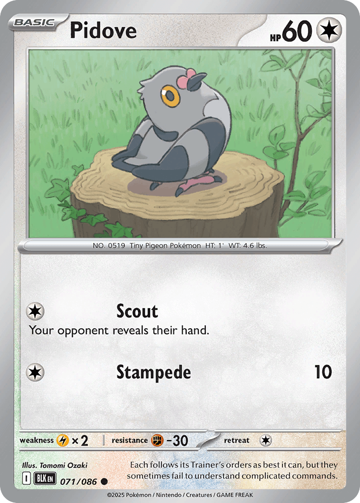 Carta Pokémon Pidove