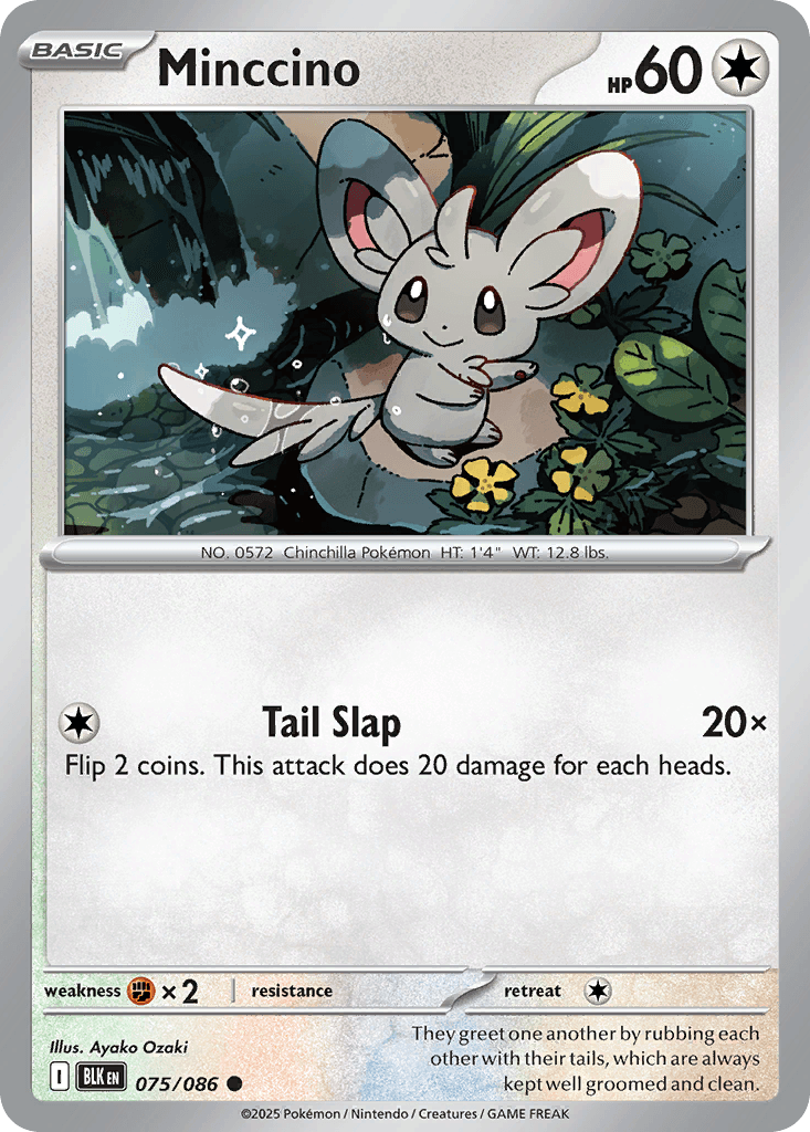 Carta Pokémon Minccino 75