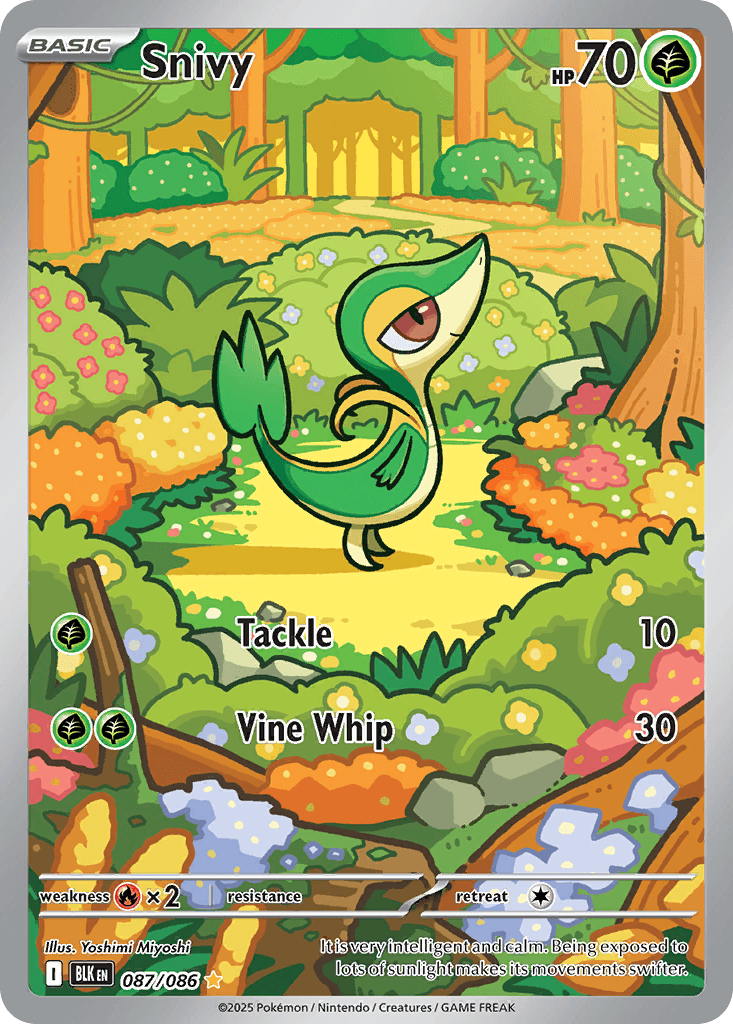 Carta Pokémon Snivy 87